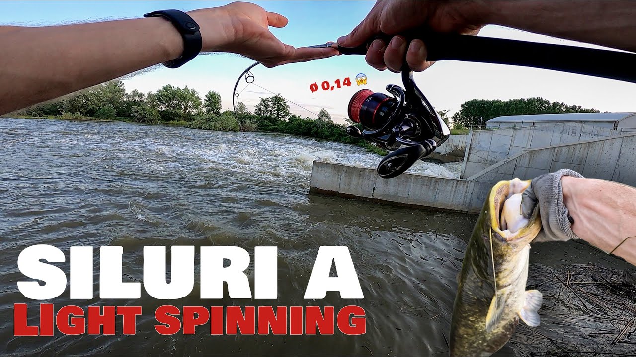 SILURI a LIGHT SPINNING mentre sono ad ASPI!! 😱