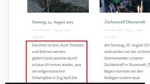 Create Post Excerpt in Divi Builder RUSSIAN
