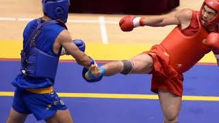 kung fu sanda pro fights compilation  |  أفضل نزالات الساندا للمحترفين