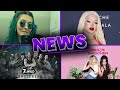 Brave Mädchen vs. Sashka geht weiter | Katja Krasavice Strafbefehl | 7 vs. Wild uninteressant?