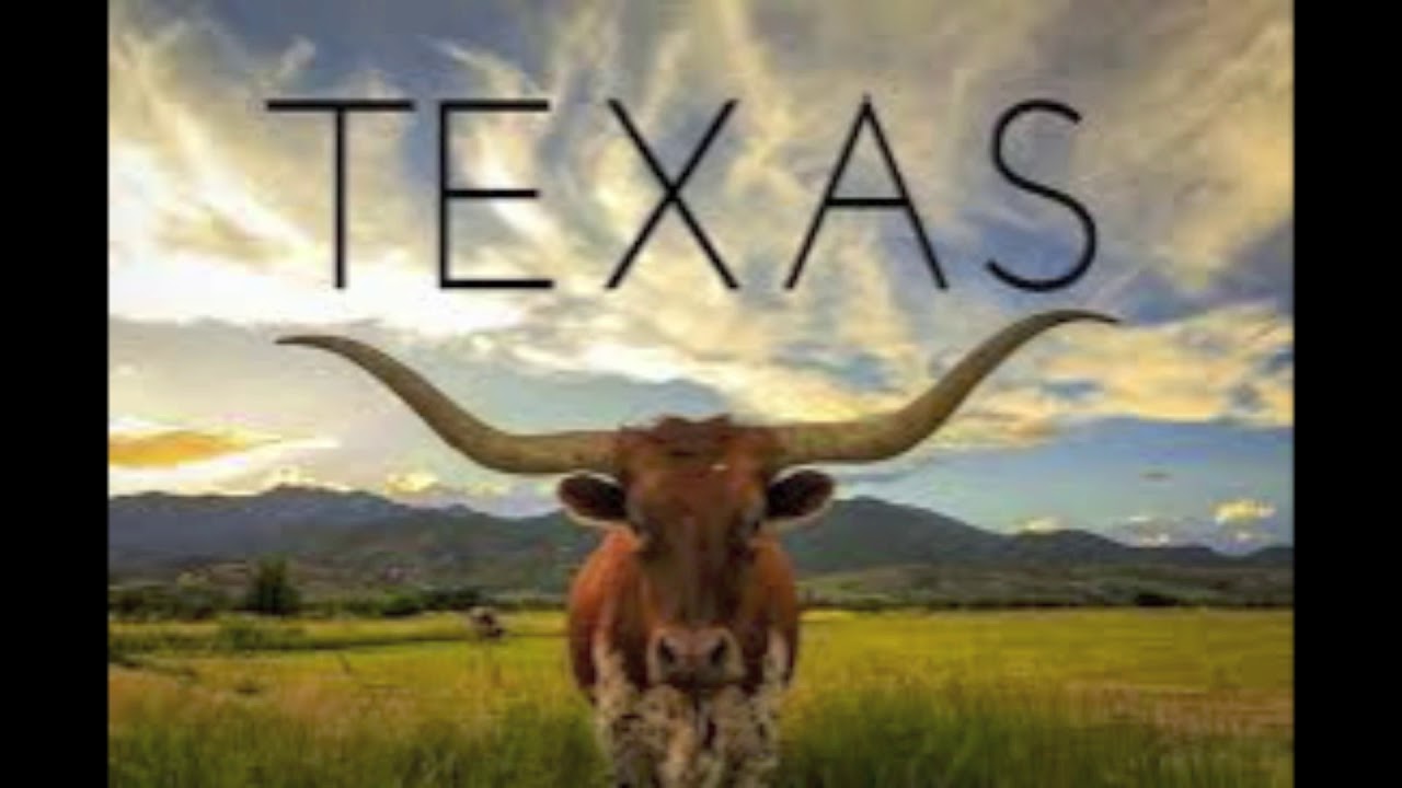 Chevy Taylor - Texas