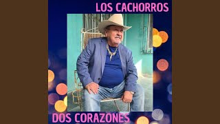 Versión 3 del video