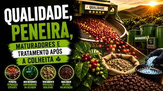Podcast #221 - Qualidade, peneira, maturadores e tratamento após a colheita
