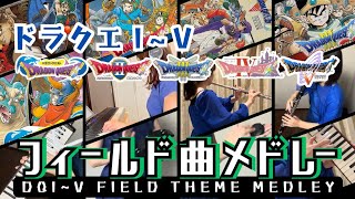 ドラゴンクエストI～V フィールドメドレー【Field BGM Medley