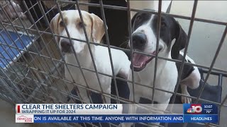 KTVE wraps up 2024 Clear the Shelters campaign