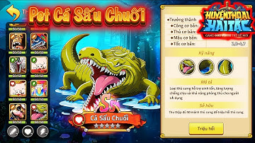 Pet Mới Cá Sấu Chuối - Huyền Thọai Hải Tặc