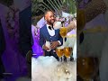 TAZAMA STYLE MPYA MAHARUSI KUMIMINA CHAMPAGNE Trending Explore Viral Dance Wedding Shorts Fyp TAZAMA STYLE MPYA MAHARUSI KUMIMINA CHAMPAGNE Trending Explore Viral Dance Wedding Shorts Fyp
