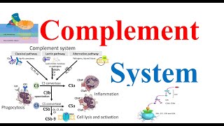 Complement System #compliment #system #mlt #immunology #msc #medical #science #1stsemester #notes