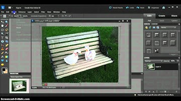 Transform Perspective