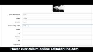 Creador de Curriculum Vitae screenshot 1