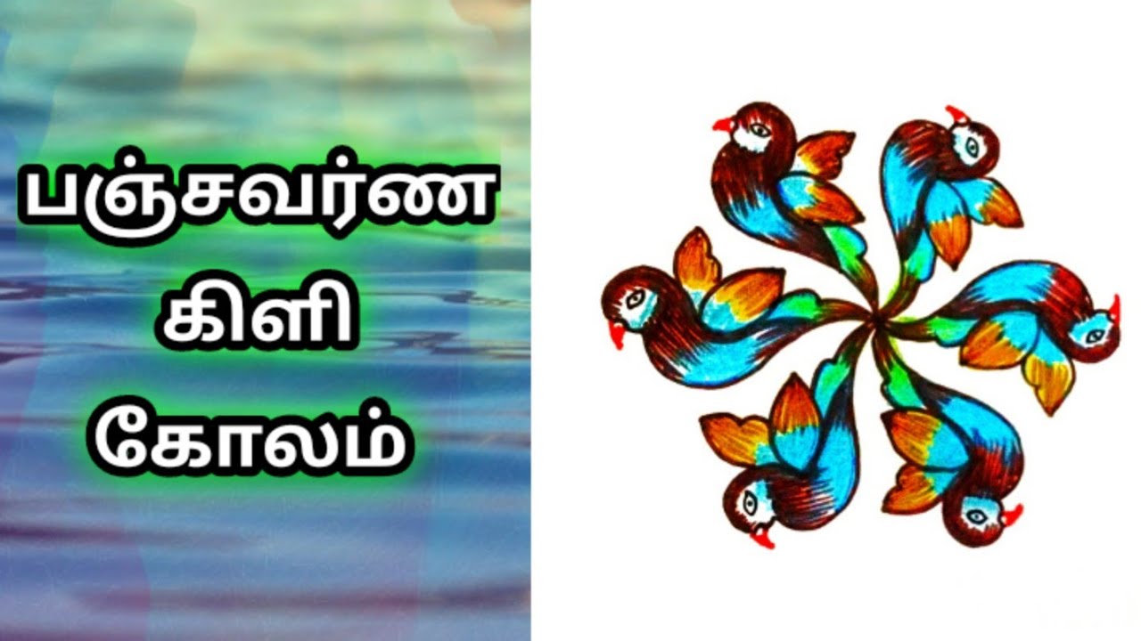 பஞ்சவர்ண கிளி கோலம் 9×5 இடுக்கு புள்ளி