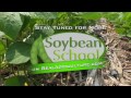 Soybean School -  Are Your Rows Too Wide?