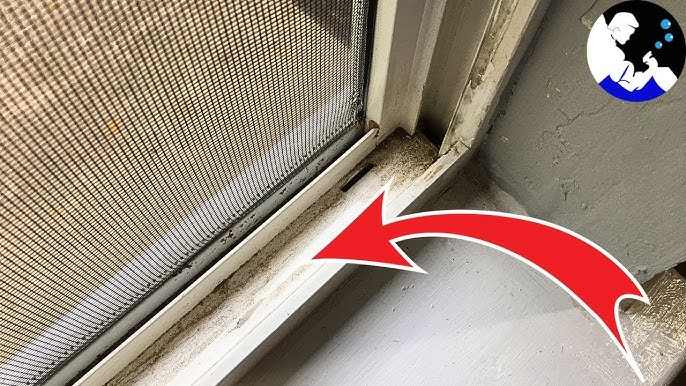 Cleaning windows: Tips for a streak-free view