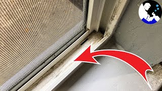 EASIEST Way To Clean Window Tracks