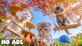 Download Lagu 12 HOURS Calm Cat Sleep Sounds 😸🌙 Soft Meows to Ease Anxiety & Promote Deep Relaxation 💤 No ADS