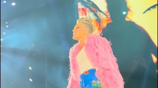 Famous P!nk - Irrelevant Bolton Summer Carnival 2023 Net Worth