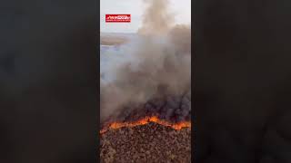 Ανεξέλεγκτη φωτιά στο Buckeye καίει χιλιάδες στρέμματα