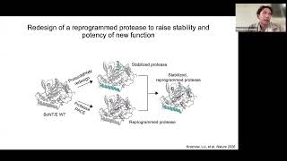 AI-redesigned starting points and outcomes enhance protein evolution - Nicholas Krasnow
