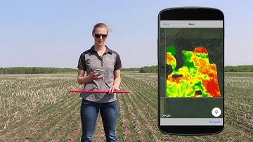 Variable Rate Seed: Plant Stand Counts