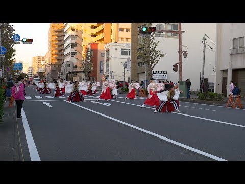 葵や一晴さん　21thよさこい東海道 魚町・仲町演舞場