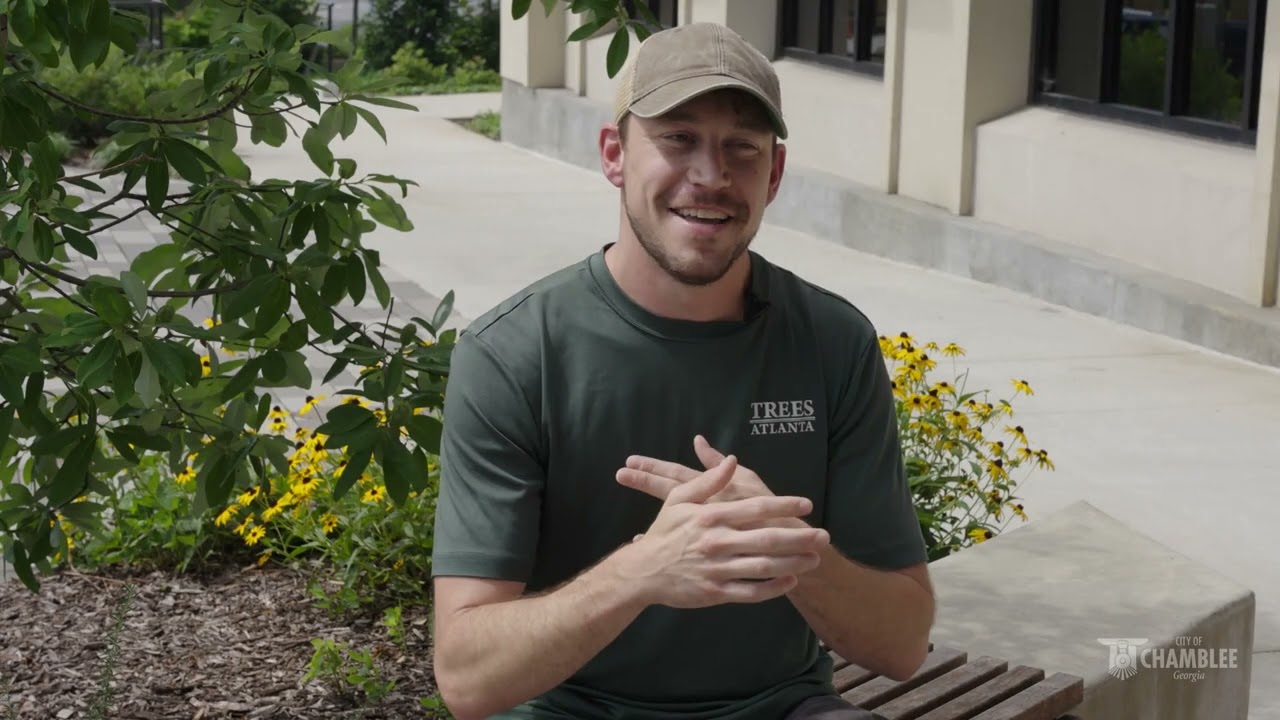 Trees Atlanta Front Yard Tree Program