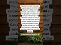 Controla cómo piensas, como actuas y tú energía. #minimalismoenergético #frases #autoestima