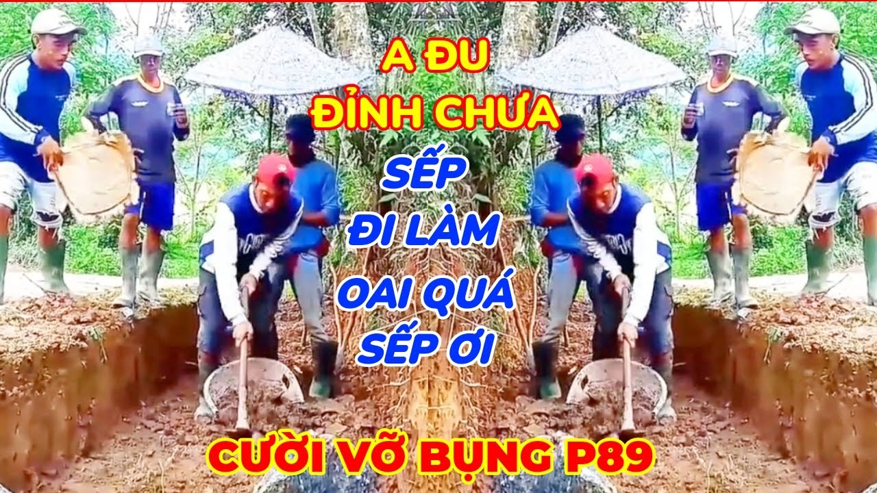 ✅Cười Vỡ Bụng ( P89)✔ | Những Thằng Ngu Nhất Hành Tinh Cười Vỡ Bụng✔