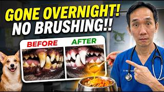 If You Add THIS To Dog Bowl…Plaque & Tartar Vanishes within 24 hours