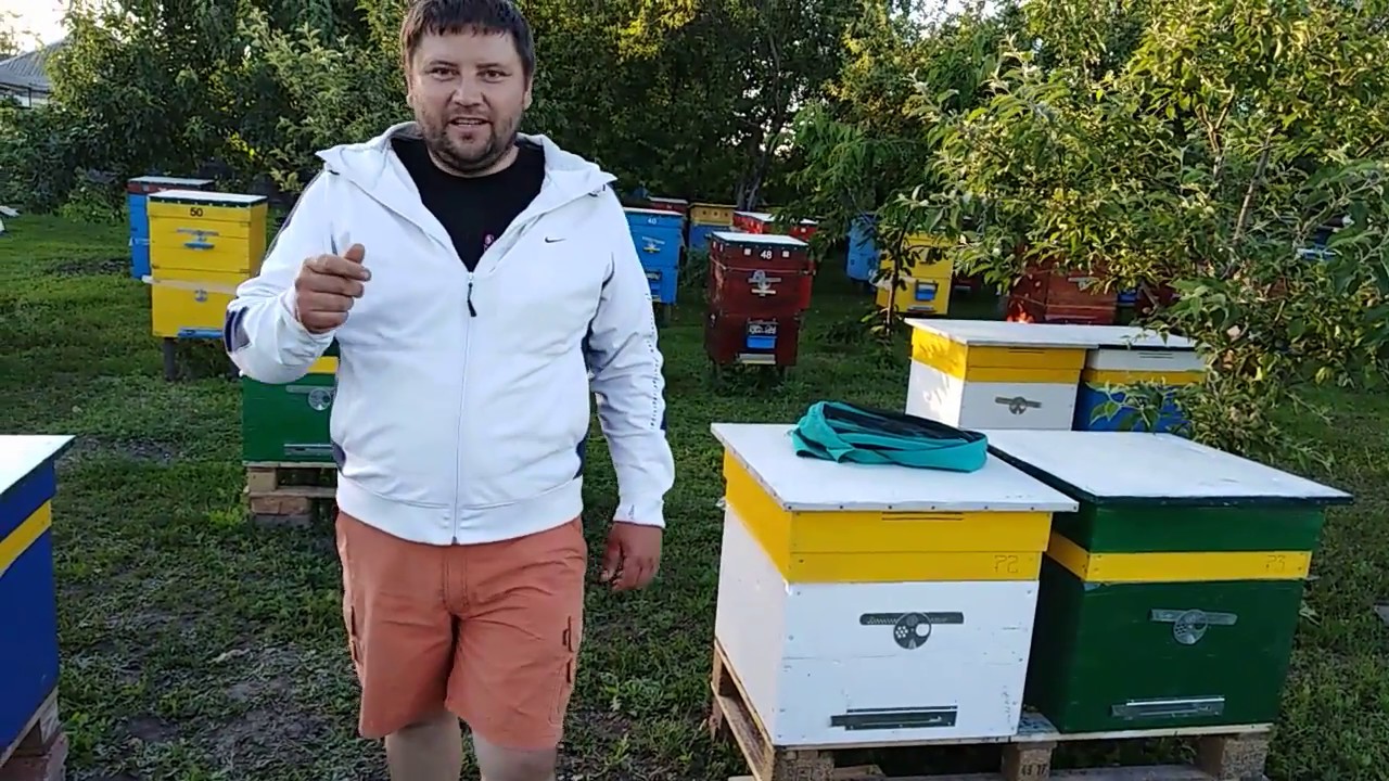 Вулики для себе без професійних станків.