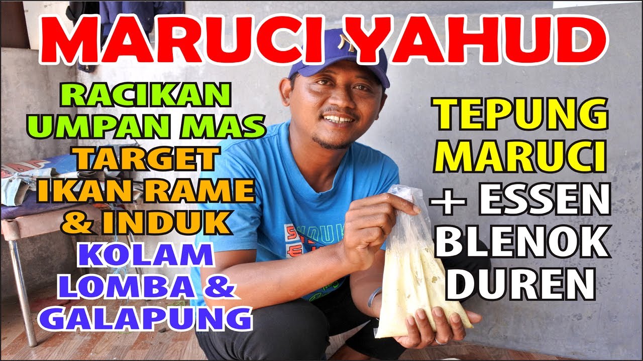 Maruci Yahud' Blenok Duren, Lomba & Galapung Khusus Rame & Induk, Dikocok  Direbus (Part 2) - YouTube