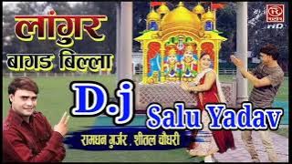 D.J Remix Langur mero Bagad Billa 🎵 D.J Remix Hard Dholki mix Song D.J Salu Yadav