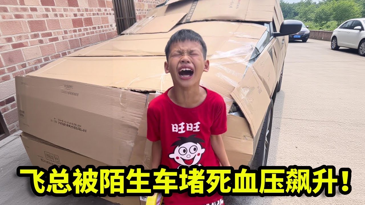 飞总出门被陌生车堵死血压飙升！路怒上头开启整活模式，直接给车贴满纸板警告！【漏总飞总】