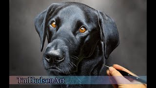 How to paint a realistic black labrador in acrylic