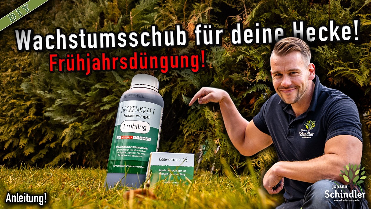 Nach dem Winter eure Hecken richtig düngen – So wachsen sie dicht & gesund!