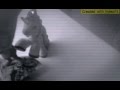 Лпс и млп Варавайки наколочки неданелоное Лпс и млп Варавайки наколочки неданелоное