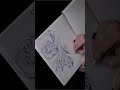 #tattoosketch #acanthus #baroquetattoo #drawingtimelapse