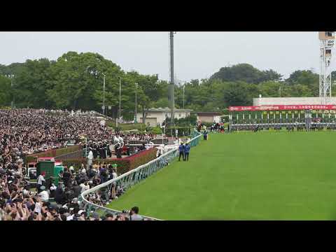 2023年日本ダービー ファンファーレ