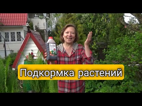 ДАЙТЕ ЭТО РАСТЕНИЯМ! И они отплатят вам большим урожаем и красотой! Перезагрузите ваш сад и огород!