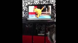 Even Lola Hates Garfield The Movie