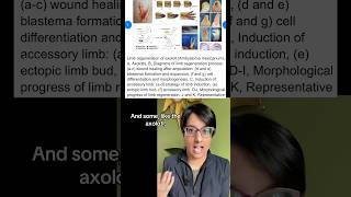 Why can’t humans fully regenerate? Explaining things you don’t understand #7