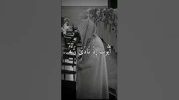 قصة نبي الله أيوب من القرآن الكريم موثرة جدا ياسر الدوسري