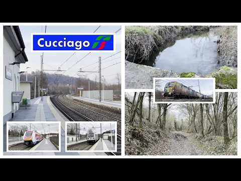 Video I treni della linea Milano - Chiasso: stazione di CUCCIAGO e dintorni!