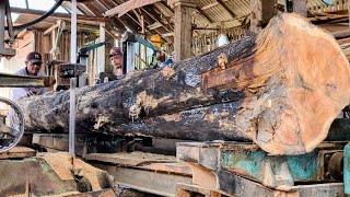 Sawing long, abandoned logs that have the beauty of a luxurious grain