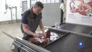 Aquarist Job Shadowing