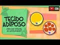 Quiz sobre Tecido Adiposo