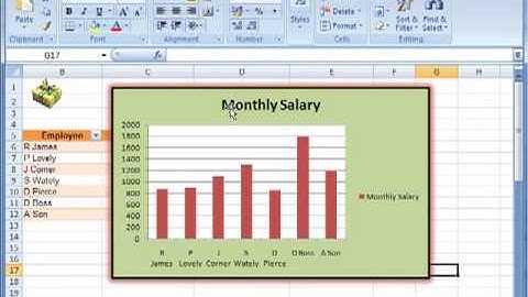 AM 4324 Format chart elements Including using pictures Excel 2007 ECDL Advanced ITQ3