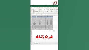 Auto Format  in Excel | ESS INSTITUTE | EXCEL Tips