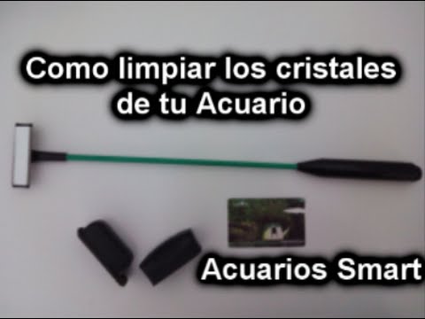 Acuarioteka: Cómo limpiar los cristales del acuario