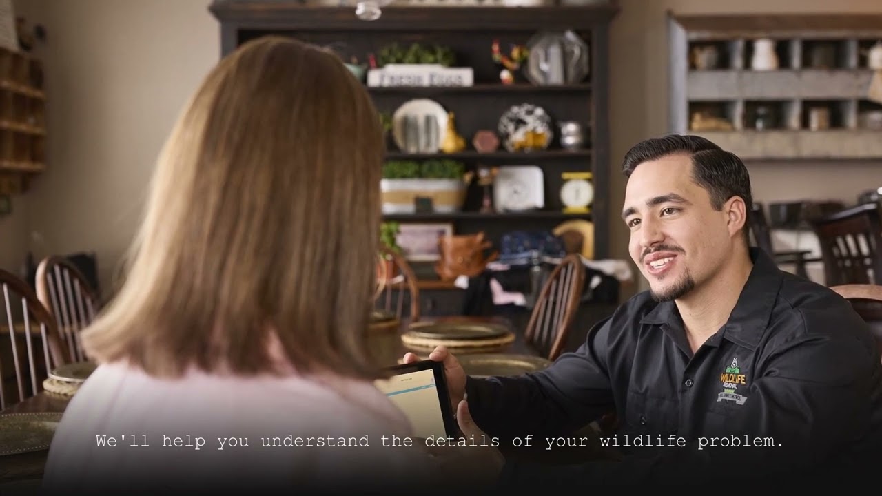 AAAC Wildlife Removal Lexington - Bat Exterminator Lexington