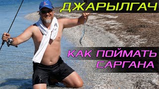 Джарылгач. Как поймать саргана!